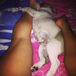 Andressa Soares feet photo 10