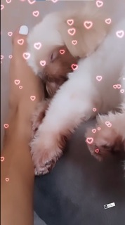 Andressa Soares feet photo 1