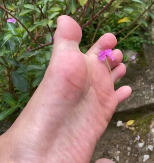Andreza Santana feet photo 14