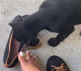 Andreza Santana feet photo 7