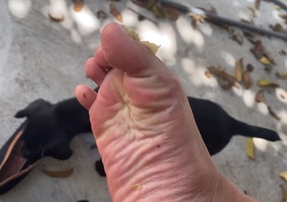Andreza Santana feet photo 6