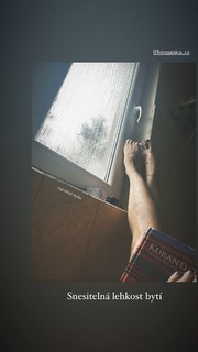 Aneta Krejcíková feet photo 8