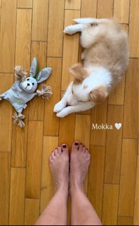 Aneta Zajac feet photo thumbnail
