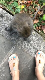 Anfisa Chekhova feet photo thumbnail