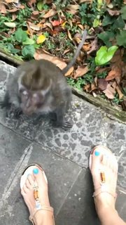 Anfisa Chekhova feet photo thumbnail