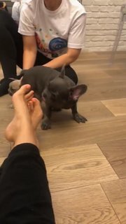 Anfisa Chekhova feet photo thumbnail