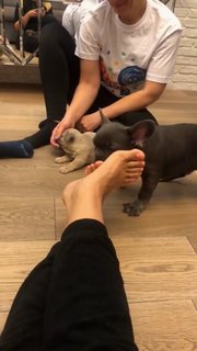 Anfisa Chekhova feet photo thumbnail