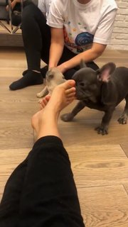 Anfisa Chekhova feet photo thumbnail