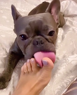 Anfisa Chekhova feet photo thumbnail