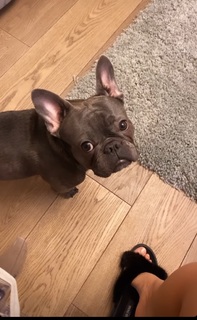 Anfisa Chekhova feet photo thumbnail