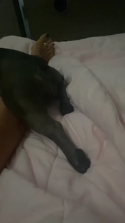 Anfisa Chekhova feet photo thumbnail