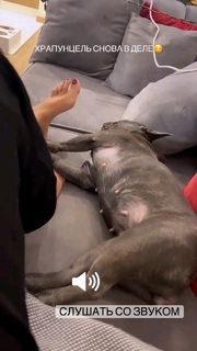 Anfisa Chekhova feet photo thumbnail