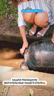 Anfisa Chekhova feet photo thumbnail