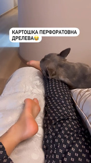 Anfisa Chekhova feet photo thumbnail