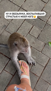 Anfisa Chekhova feet photo thumbnail