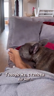 Anfisa Chekhova feet photo thumbnail