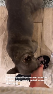 Anfisa Chekhova feet photo thumbnail