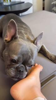 Anfisa Chekhova feet photo thumbnail