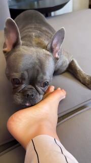 Anfisa Chekhova feet photo thumbnail