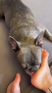 Anfisa Chekhova feet photo thumbnail