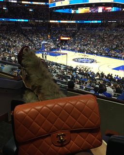 Angel Reese feet photo thumbnail