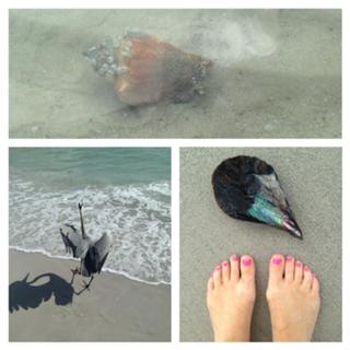 Angel Williams feet photo thumbnail