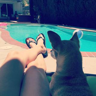 Angela Kinsey feet photo thumbnail