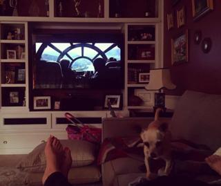 Angela Kinsey feet photo thumbnail