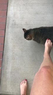Angela Kinsey feet photo thumbnail