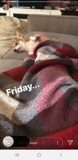 Angela Kinsey feet photo thumbnail
