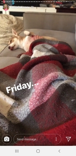 Angela Kinsey feet photo thumbnail