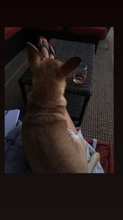 Angela Kinsey feet photo thumbnail