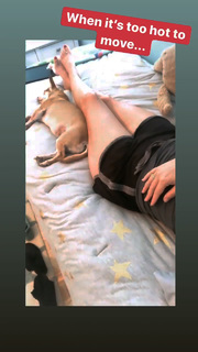 Angela Kinsey feet photo thumbnail