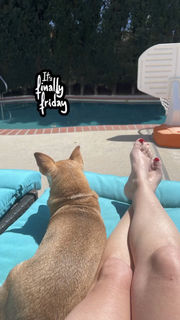 Angela Kinsey feet photo thumbnail