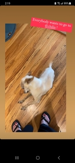 Angela Kinsey feet photo thumbnail