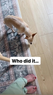 Angela Kinsey feet photo thumbnail