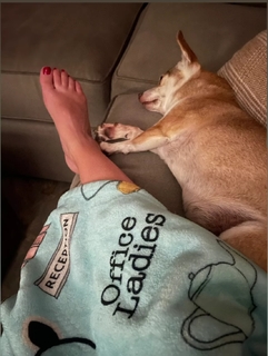 Angela Kinsey feet photo thumbnail