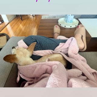 Angela Kinsey feet photo thumbnail