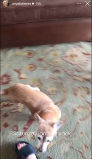 Angela Kinsey feet photo thumbnail