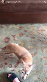 Angela Kinsey feet photo thumbnail