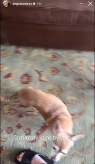 Angela Kinsey feet photo thumbnail