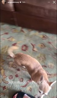 Angela Kinsey feet photo thumbnail