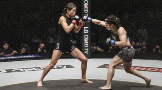 Angela Lee feet photo 10
