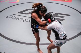 Angela Lee feet photo 18