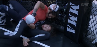 Angela Lee feet photo 9