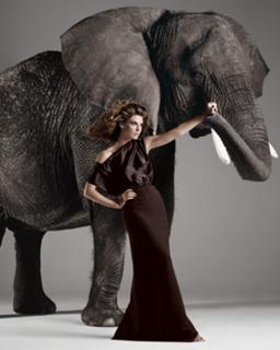 Angela Lindvall feet photo 6