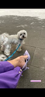 Angela Melillo feet photo thumbnail