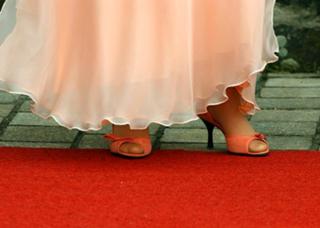 Angela Merkel feet photo thumbnail