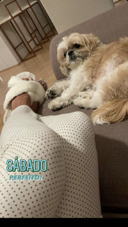 Angela Munhoz feet photo 11