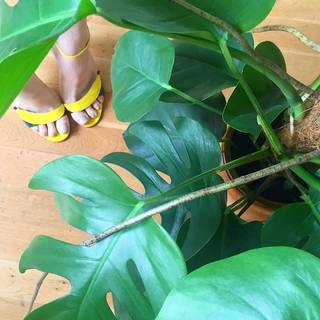 Angela Scanlon feet photo thumbnail